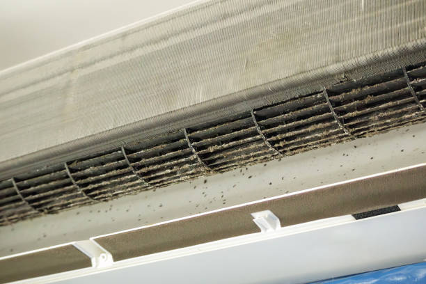 Best Ductwork Cleaning Services  in Los Alamos, CA